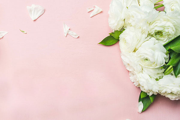 Bridal Showers